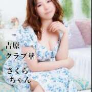 ヒメ日記 2025/04/28 08:13 投稿 近藤ひろ クラブ華