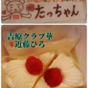 ヒメ日記 2025/05/14 17:00 投稿 近藤ひろ クラブ華