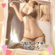 ヒメ日記 2025/05/16 07:20 投稿 近藤ひろ クラブ華