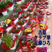 ヒメ日記 2025/05/22 06:32 投稿 近藤ひろ クラブ華