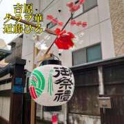 ヒメ日記 2025/05/26 06:12 投稿 近藤ひろ クラブ華