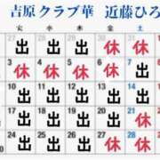 ヒメ日記 2025/06/09 06:38 投稿 近藤ひろ クラブ華
