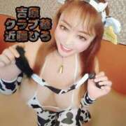 ヒメ日記 2025/06/18 23:14 投稿 近藤ひろ クラブ華