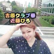 ヒメ日記 2025/07/02 13:22 投稿 近藤ひろ クラブ華