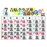 ヒメ日記 2025/07/04 09:09 投稿 近藤ひろ クラブ華