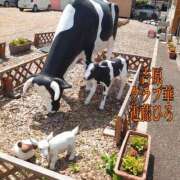 ヒメ日記 2025/07/05 16:46 投稿 近藤ひろ クラブ華