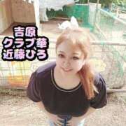 ヒメ日記 2025/07/05 22:08 投稿 近藤ひろ クラブ華