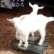 ヒメ日記 2025/07/06 07:56 投稿 近藤ひろ クラブ華