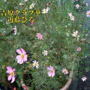 ヒメ日記 2025/07/10 18:13 投稿 近藤ひろ クラブ華