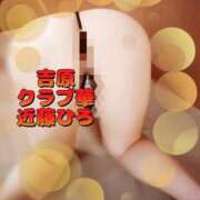 ヒメ日記 2025/07/16 05:48 投稿 近藤ひろ クラブ華