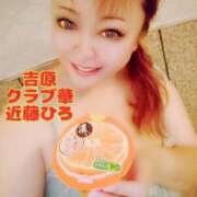 ヒメ日記 2025/07/23 08:14 投稿 近藤ひろ クラブ華