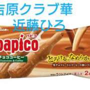 ヒメ日記 2025/08/12 00:57 投稿 近藤ひろ クラブ華