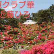 ヒメ日記 2025/08/14 11:15 投稿 近藤ひろ クラブ華