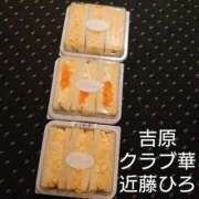 ヒメ日記 2025/08/18 04:28 投稿 近藤ひろ クラブ華