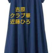 ヒメ日記 2025/08/19 06:04 投稿 近藤ひろ クラブ華