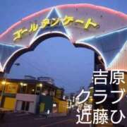 ヒメ日記 2025/08/24 10:54 投稿 近藤ひろ クラブ華