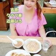 ヒメ日記 2025/09/03 03:28 投稿 近藤ひろ クラブ華