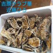 ヒメ日記 2025/09/04 03:44 投稿 近藤ひろ クラブ華