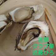 ヒメ日記 2025/09/04 08:23 投稿 近藤ひろ クラブ華