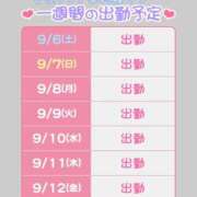 ヒメ日記 2025/09/06 06:39 投稿 近藤ひろ クラブ華