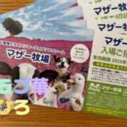 ヒメ日記 2025/09/15 15:31 投稿 近藤ひろ クラブ華