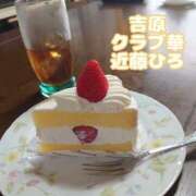 ヒメ日記 2025/09/25 19:51 投稿 近藤ひろ クラブ華