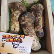 ヒメ日記 2025/10/12 07:04 投稿 近藤ひろ クラブ華