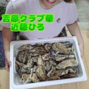 ヒメ日記 2025/10/12 07:17 投稿 近藤ひろ クラブ華