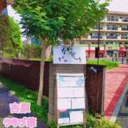 ヒメ日記 2025/10/28 21:39 投稿 近藤ひろ クラブ華