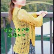 ヒメ日記 2025/11/03 08:50 投稿 近藤ひろ クラブ華