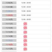 ヒメ日記 2025/11/05 09:15 投稿 近藤ひろ クラブ華