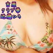 ヒメ日記 2025/11/11 08:51 投稿 近藤ひろ クラブ華