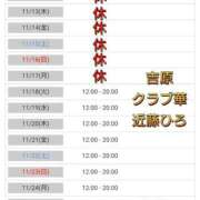 ヒメ日記 2025/11/12 18:46 投稿 近藤ひろ クラブ華