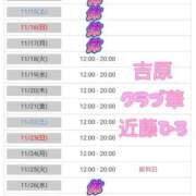 ヒメ日記 2025/11/14 19:19 投稿 近藤ひろ クラブ華