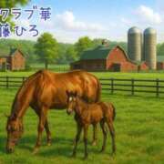 ヒメ日記 2025/11/17 11:00 投稿 近藤ひろ クラブ華