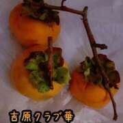 ヒメ日記 2025/11/24 18:36 投稿 近藤ひろ クラブ華