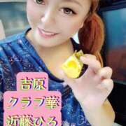 ヒメ日記 2025/12/01 00:26 投稿 近藤ひろ クラブ華