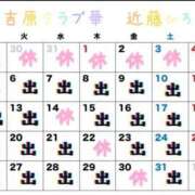 ヒメ日記 2025/12/05 09:29 投稿 近藤ひろ クラブ華