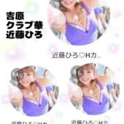 ヒメ日記 2025/12/07 12:02 投稿 近藤ひろ クラブ華