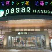 ヒメ日記 2025/12/12 21:17 投稿 近藤ひろ クラブ華