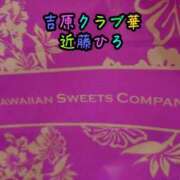 ヒメ日記 2025/12/13 16:49 投稿 近藤ひろ クラブ華