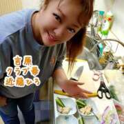 ヒメ日記 2025/12/23 23:30 投稿 近藤ひろ クラブ華