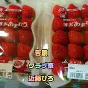 ヒメ日記 2026/01/05 01:32 投稿 近藤ひろ クラブ華