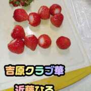 ヒメ日記 2026/01/05 03:01 投稿 近藤ひろ クラブ華