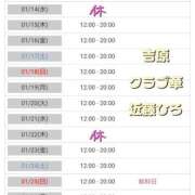 ヒメ日記 2026/01/13 07:39 投稿 近藤ひろ クラブ華