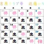 ヒメ日記 2026/01/13 15:52 投稿 近藤ひろ クラブ華