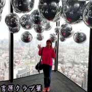 ヒメ日記 2026/01/15 08:41 投稿 近藤ひろ クラブ華