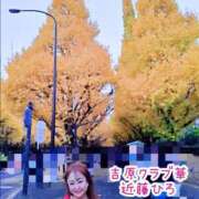 ヒメ日記 2026/01/15 12:43 投稿 近藤ひろ クラブ華