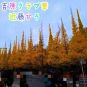 ヒメ日記 2026/01/15 13:27 投稿 近藤ひろ クラブ華