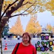 ヒメ日記 2026/01/15 13:57 投稿 近藤ひろ クラブ華